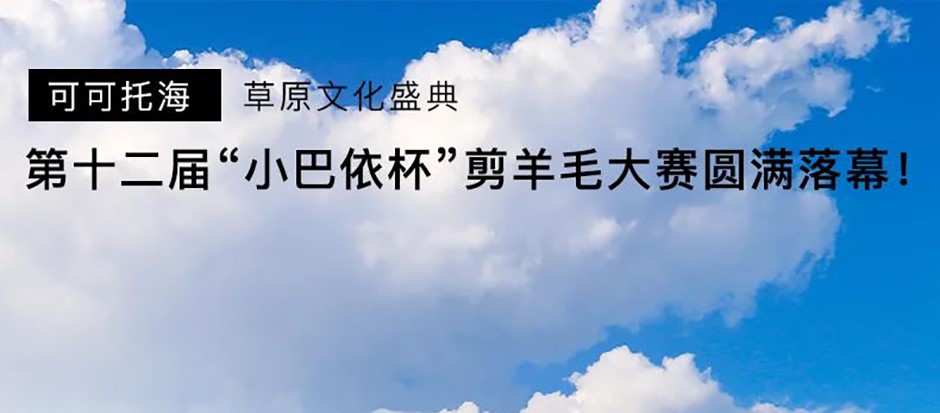第十二届“小巴依杯”剪羊毛大赛精彩瞬间!